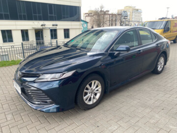Toyota Camry XV70, 2019 г.