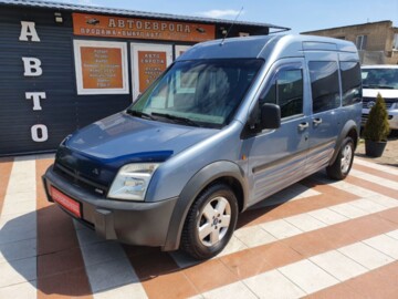 Ford Tourneo Connect I, 2004 г.