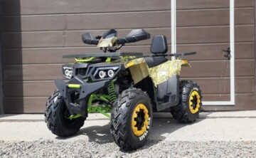 Motoland Wild Trak X, 2022 г.