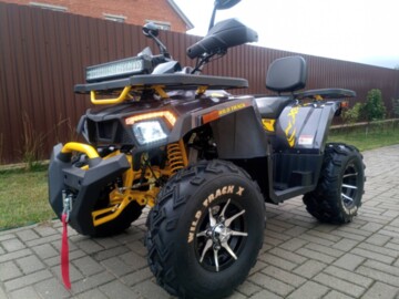 Motoland Wild Trak X 200 PRO LUX GREY-YELLOW, 2022 г.