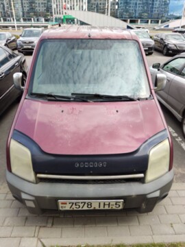 Ford Tourneo Connect I, 2003 г.