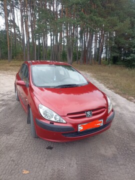 Peugeot 307 I, 2002 г.