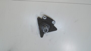 Ступица в сборе для Renault Scenic III 2009-2012