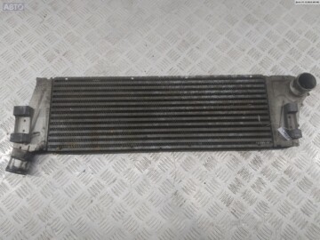 Радиатор охлаждения двигателя для Renault Megane II 2002-2006