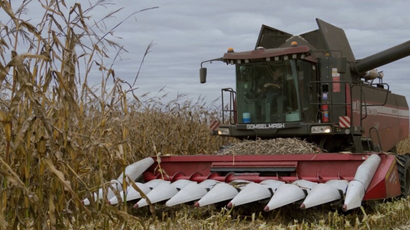 Собираем урожай! Как показали себя немецкий CLAAS Lexion 770 и белорусский «Гомсельмаш» GS2124 в поле