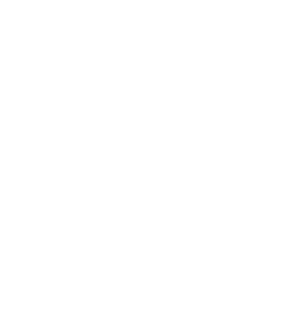 Сеть шиномонтажей "Ведущая Ось"