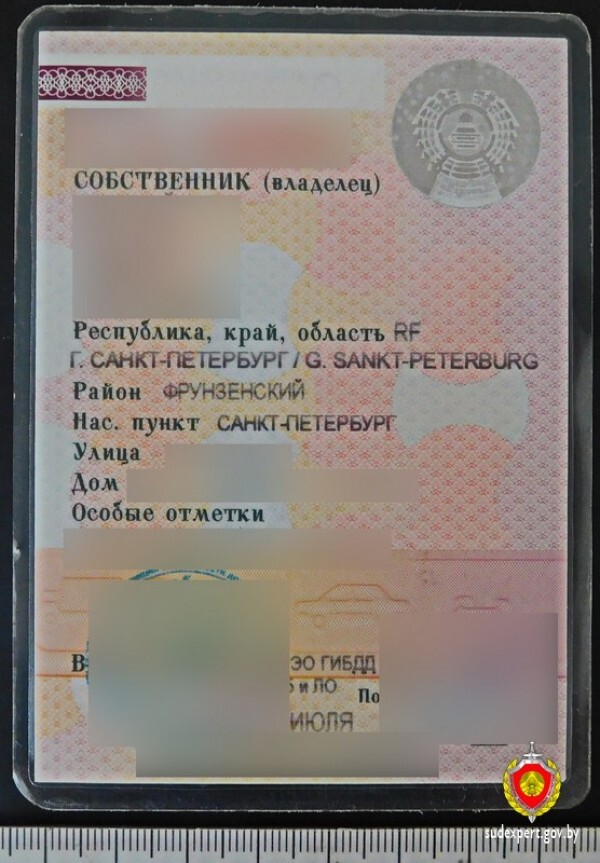 Автоледи купила Renault в Беларуси «задёшево». У инспектора «Стрелы» возникли вопросы к техпаспорту