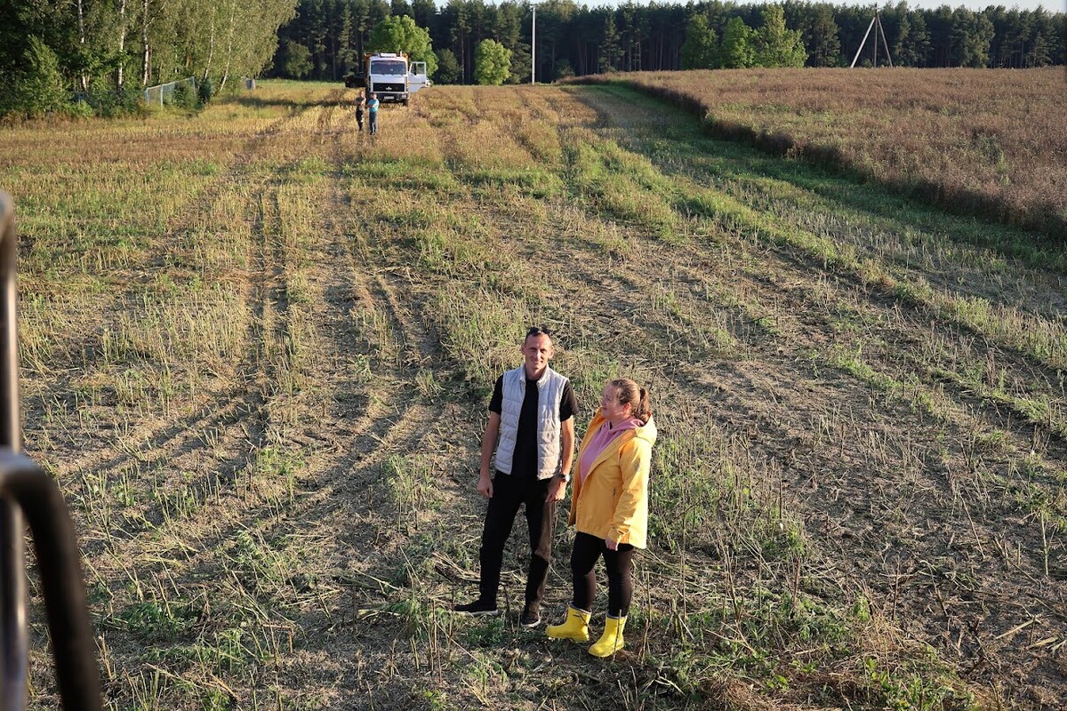 Ночная жатва в Беларуси